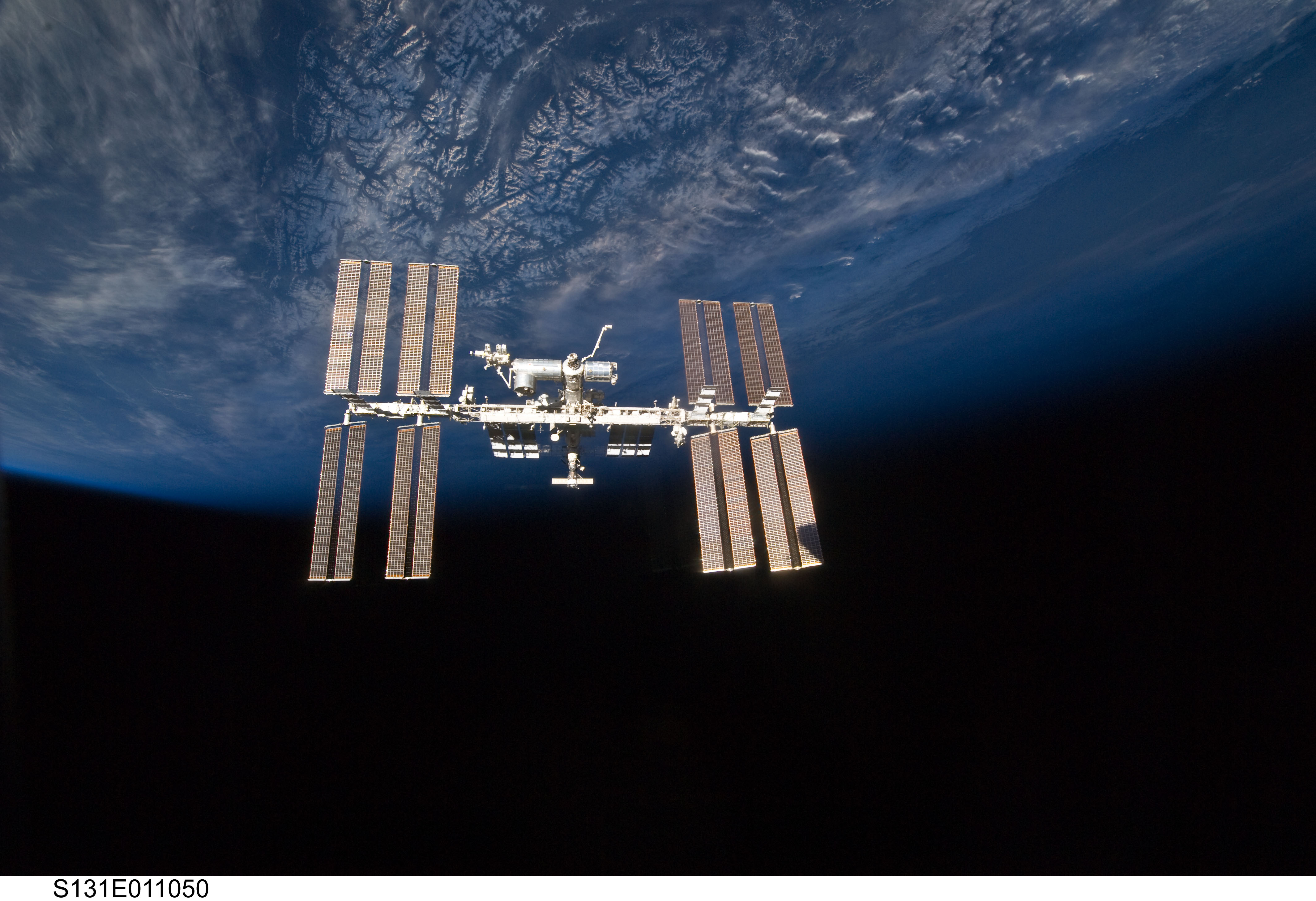 Sea Plankton on Space Station? Russian Official Claims It's So
